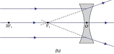 Reflection - Physics Notes | EduRev