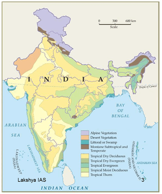 Natural Vegetation of India - Indian Geography, UPSC, IAS UPSC Notes ...