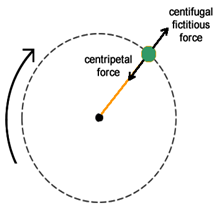 Motion - Physics, IAS UPSC Notes | EduRev