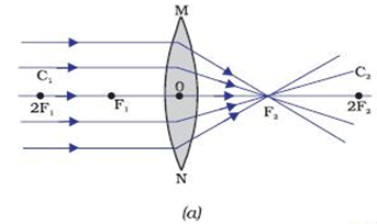 Reflection - Physics Notes | EduRev