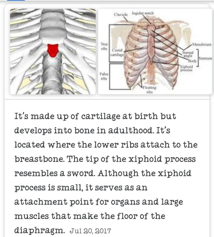 Xiphoid Process