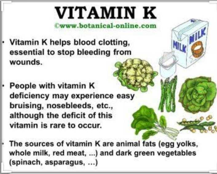 Which vitamin helps in clotting of blood ? EduRev NEET Question