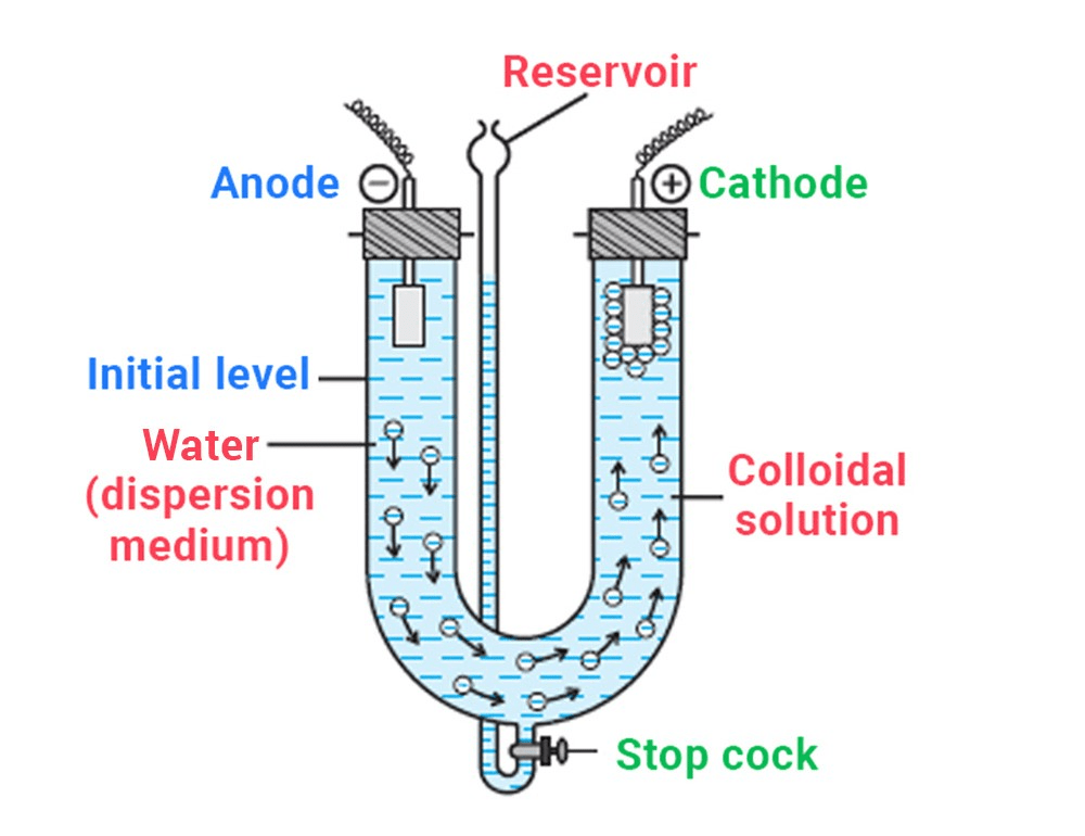 Preparation of Colloids Class 12 Notes | EduRev