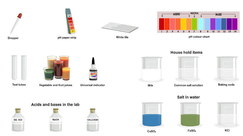 Theory & Procedure, Determine pH with pH indicator strips / universal indicator solution Class 10 Notes | EduRev