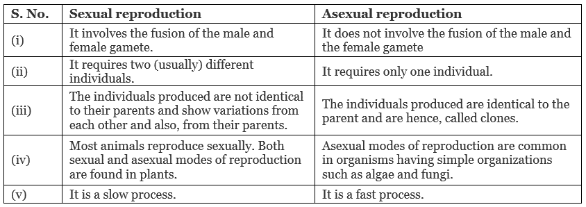 NCERT Solutions: Reproduction in Organisms Notes | Study NCERT Textbooks (Class 6 to Class 12) - NEET