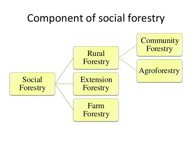 NCERT Gist: Natural Vegetation (Part - 1) UPSC Notes | EduRev