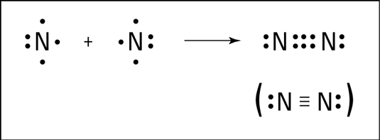 Overview of Carbon and Covalent Bonding in Carbon Class 10 Notes | EduRev