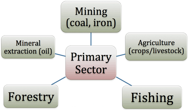 key-concepts-sectors-of-the-indian-economy-class-10-notes-edurev