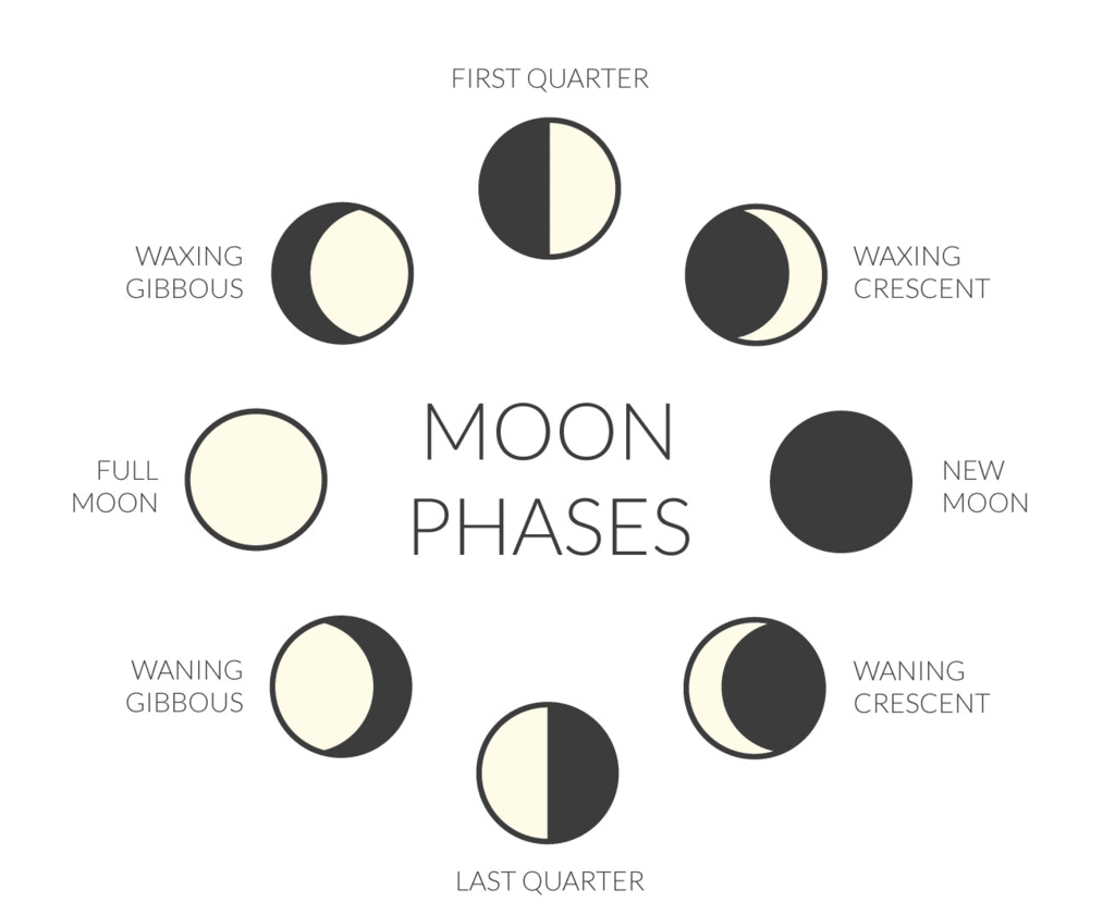 Chapter Notes Stars And The Solar System Class 8 Notes