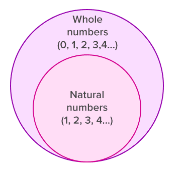 Ncert Chapter Notes - Whole Numbers Class 6 Notes 