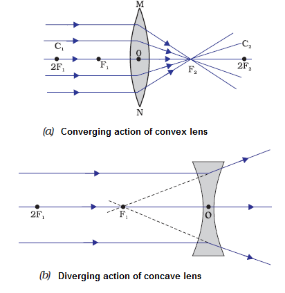 Types and Power of Lenses and Magnification Class 12 Notes | EduRev
