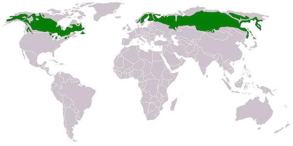 Natural Regions of The World UPSC Notes | EduRev