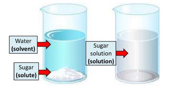 Solutions - Introduction and Types of solutions Class 12 Notes | EduRev