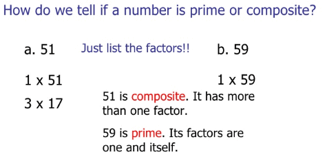 Overview with Examples: Number System- 2 Quant Notes | EduRev