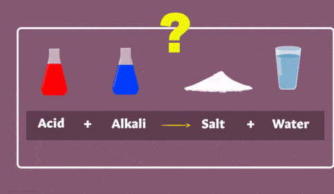Overview of Acids and Bases Class 10 Notes | EduRev