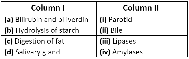 NCERT Solutions - Digestion and Absorption NEET Notes | EduRev