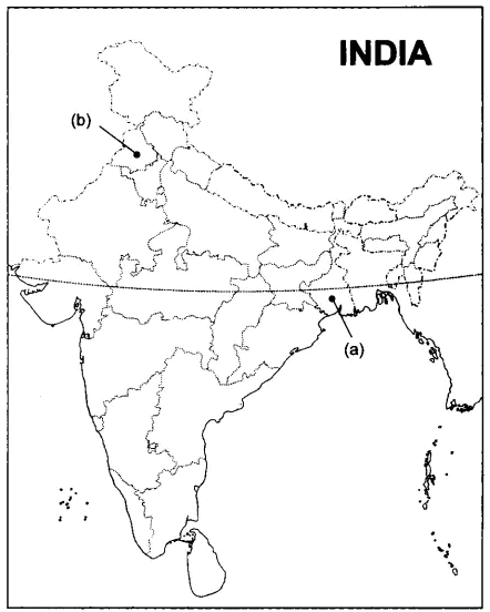 Board Paper Of Class 10 2019 Social Science Delhi(Set - 1) Class 10 Notes | EduRev