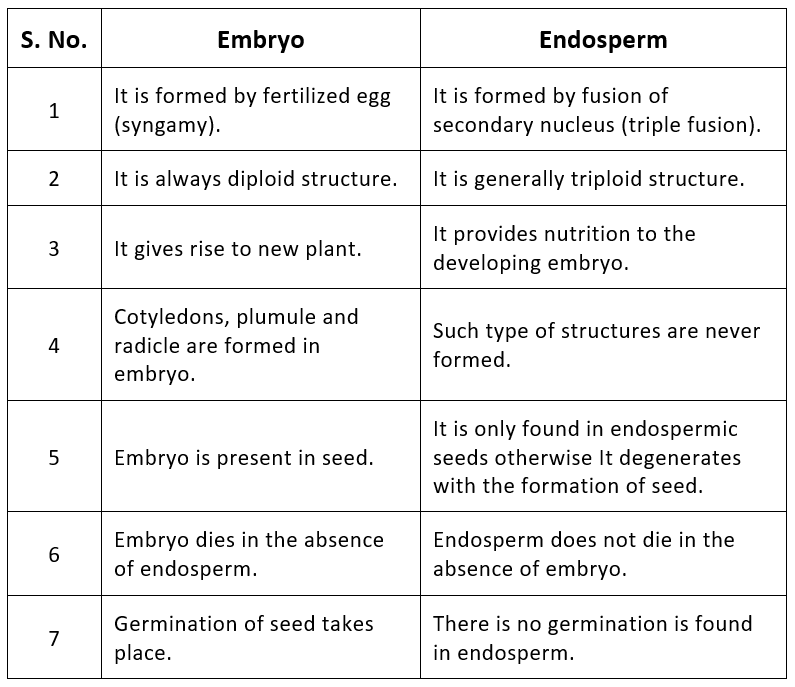 Embryo Development NEET Notes | EduRev