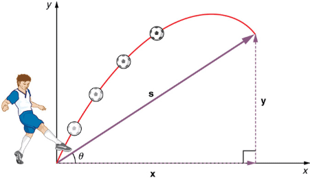 Introduction to Motion Class 11 Notes | EduRev