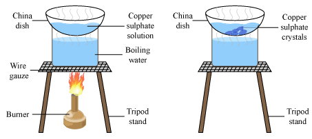 Physical and Chemical Changes and Separating Components Class 9 Notes | EduRev