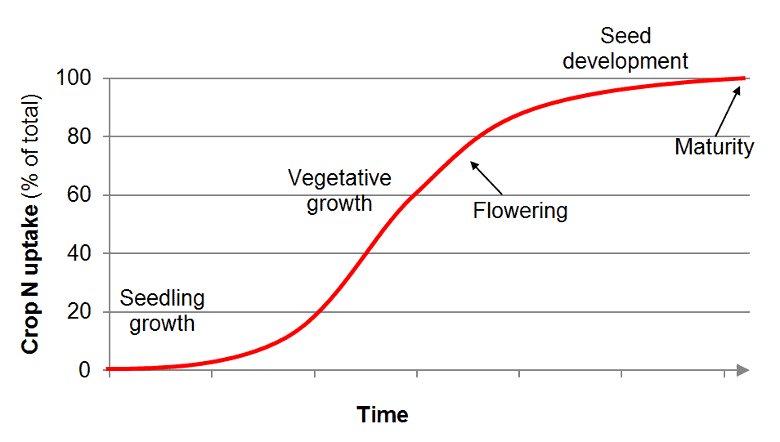 doc-phases-of-growth-neet-notes-edurev