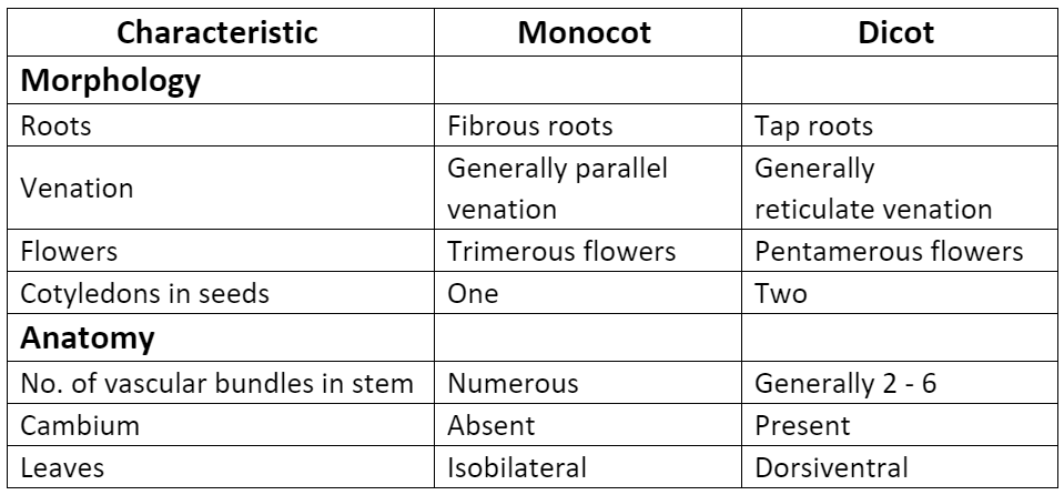 NCERT Solutions- Plant Kingdom NEET Notes | EduRev