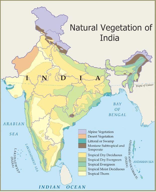 NCERT Gist: Natural Vegetation (Part - 1) UPSC Notes | EduRev