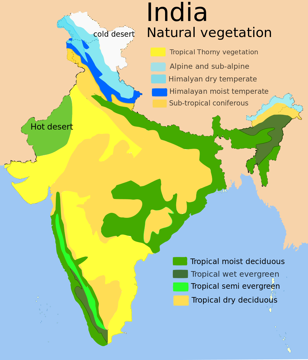 Natural Vegetation And Wildlife Notes Class 9 Class 9 Notes EduRev