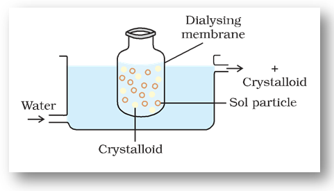 Preparation of Colloids Class 12 Notes | EduRev