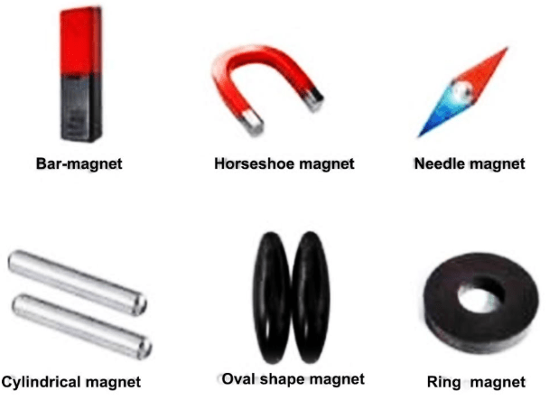 Study Notes - Fun with Magnets, Science, Class 6 | EduRev Notes