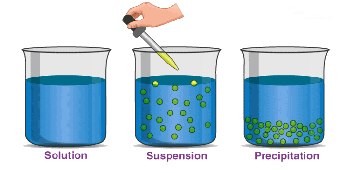 classification-and-phases-of-colloids-class-12-notes-edurev