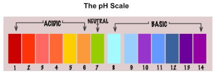 Theory & Procedure, Determine pH with pH indicator strips / universal ...