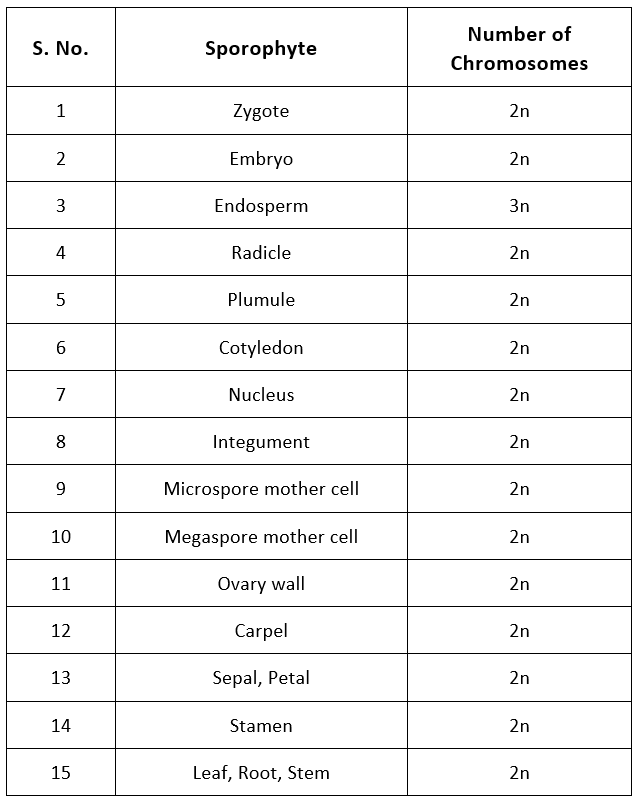 Embryo Development NEET Notes | EduRev