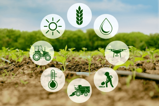 Short Answer Questions Chapter 4 - Agriculture, Class 10, SST (Geography) | EduRev Notes