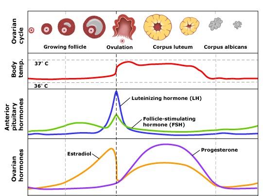 NCERT Summary: Summary of Biology- 5 UPSC Notes | EduRev