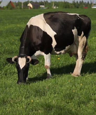 Key Concepts - Where Does it Come From? Class 6 Notes | EduRev