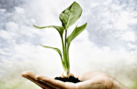 Photosynthesis With Short Questions Nutrition In Plants Class 7 Notes Edurev