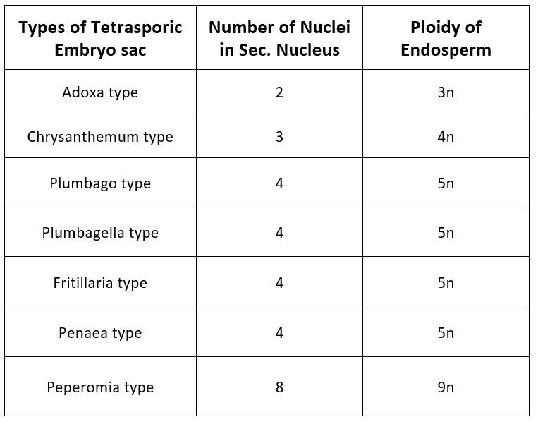 Megasporogenesis and Female Gamete Formation NEET Notes | EduRev