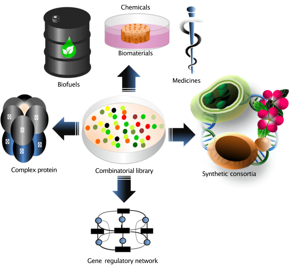 tools used in genetic engineering        
        <figure class=