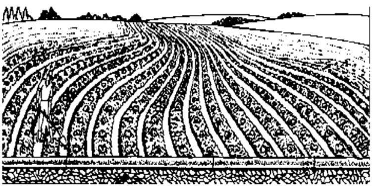 Agricultural Engineering Notes | EduRev