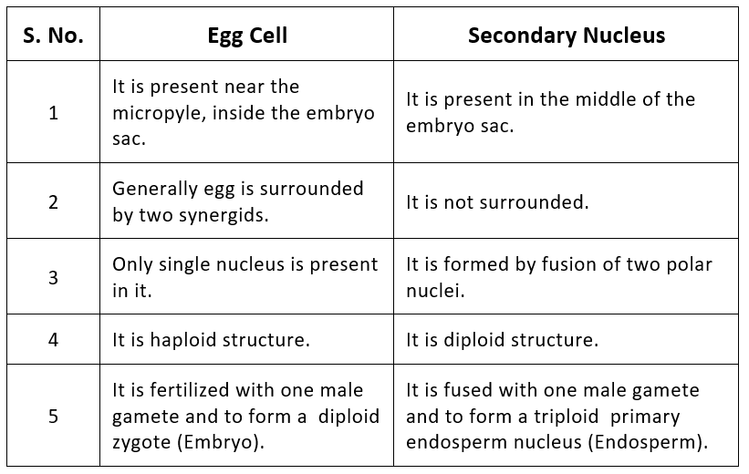 Embryo Development NEET Notes | EduRev