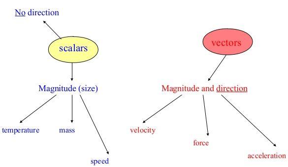 Types of Vectors and Scalars Class 11 Notes | EduRev