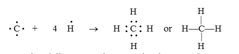 Overview of Carbon and Covalent Bonding in Carbon Class 10 Notes | EduRev