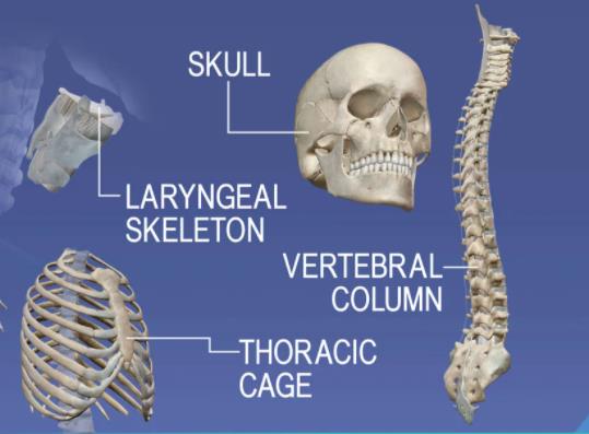 NCERT Summary: Summary of Biology- 2 UPSC Notes | EduRev