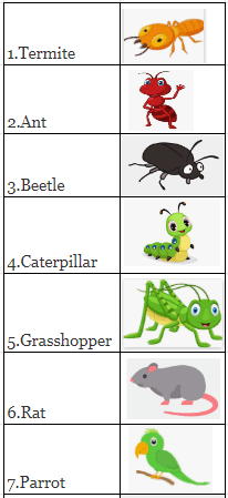 NCERT Solutions - Poonam’s Day out - Notes | Study EVS for Class 3 ...