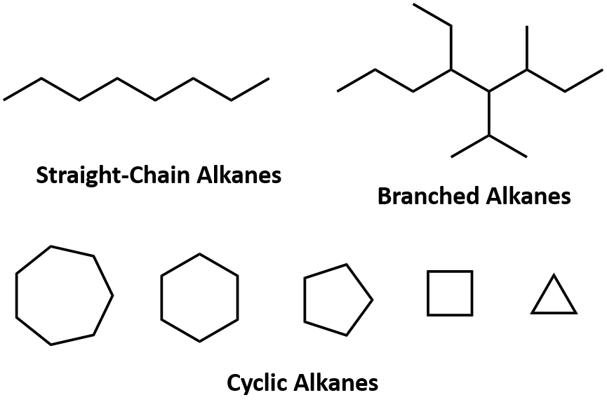 Overview of Carbon and Covalent Bonding in Carbon Class 10 Notes | EduRev