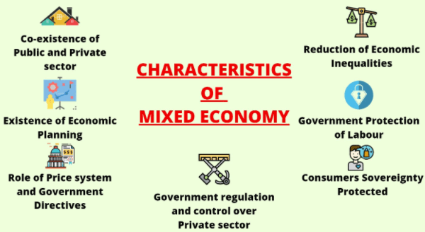 Ramesh Singh: Summary of Mixed Economy & Sectors of Economy Notes | EduRev