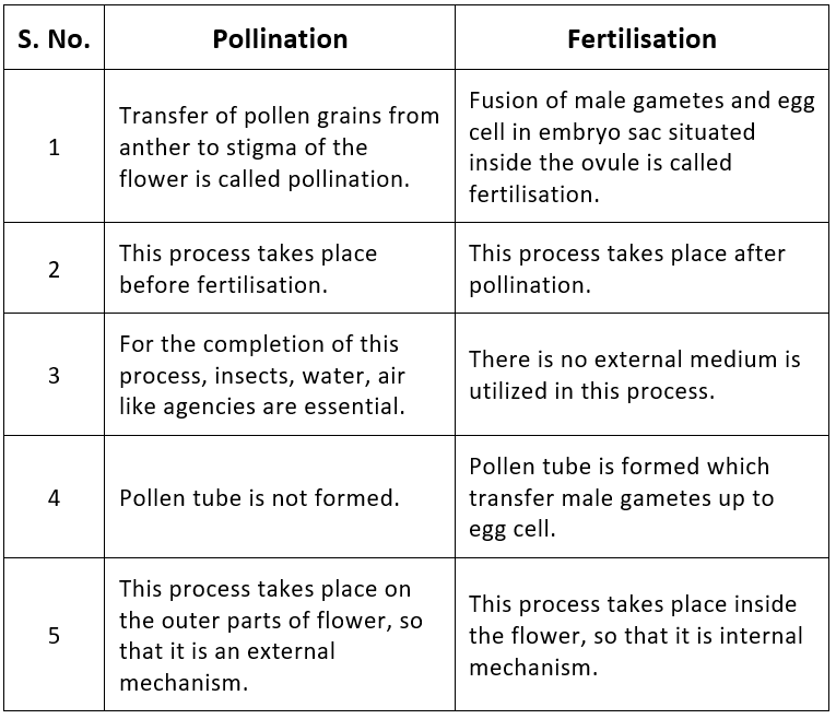 Fertilisation in Flowering Plants and Double Fertilisation Notes | EduRev