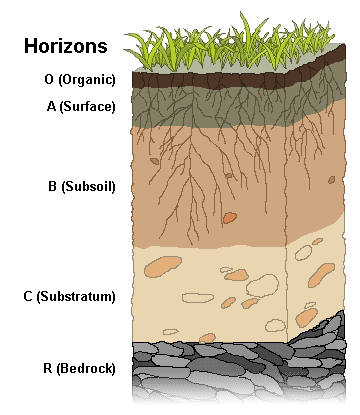 NCERT Summary: Soils- 1 UPSC Notes | EduRev