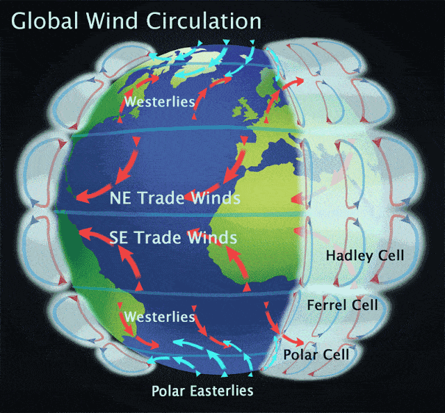 Global Wind Circulation